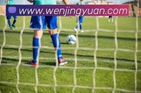韦世豪对C罗的崇拜与支持背后的故事